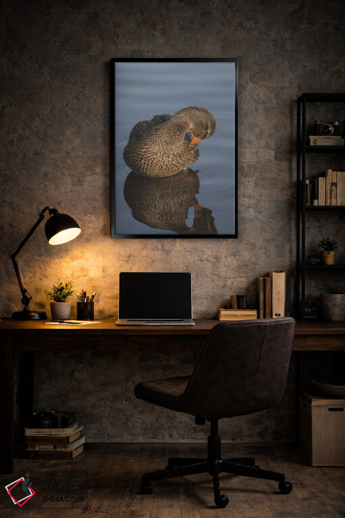 تابلو دکوراتیو هنر مرتب کردن پرها اثر لوئیس راث - D5B