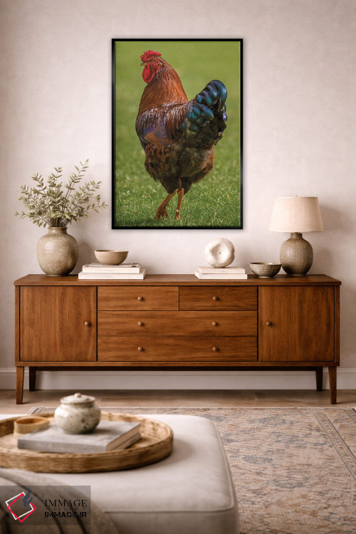 تابلو دکوراتیو به پاهای من نگاه کن، خروس! اثر لوئیس راث - D5B