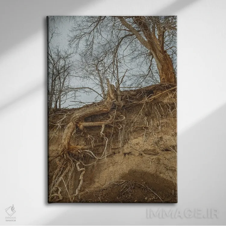 تابلو دکوراتیو ریشه دار اثر لوئیس راث - نمای روبهرو روی دیوار