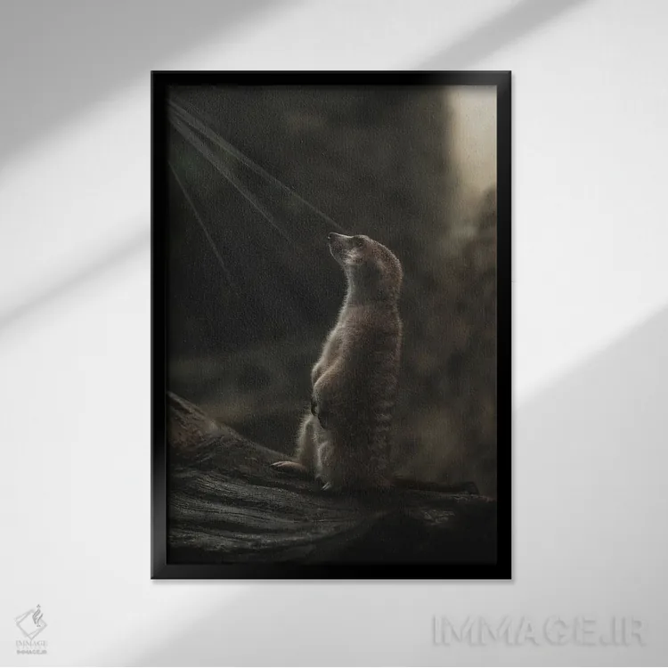 تابلو دکوراتیو پرتره میرکت با پرتوهای نور اثر لوئیس راث - نمای قابدار مشکی