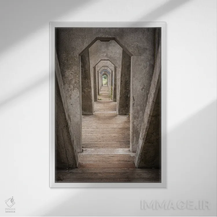 تابلو دکوراتیو عناصر اثر لوئیس راث - نمای قابدار سفید