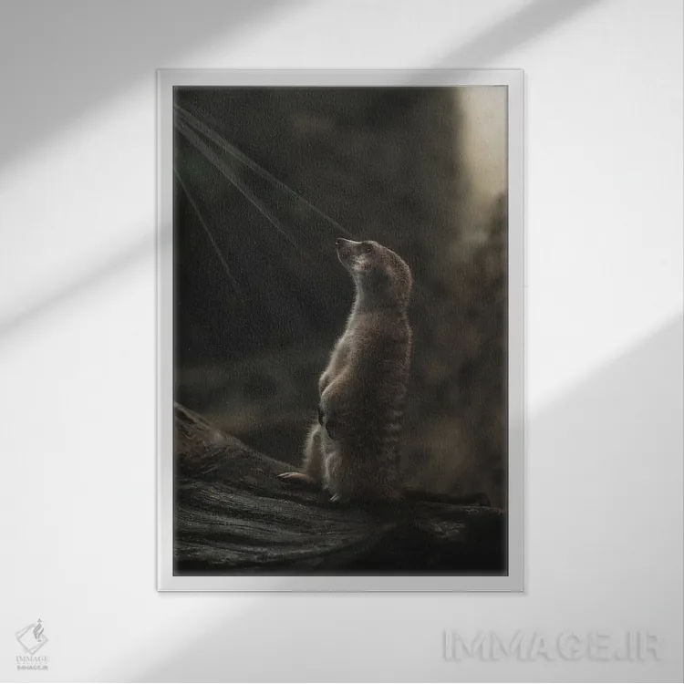 تابلو دکوراتیو پرتره میرکت با پرتوهای نور اثر لوئیس راث - نمای قابدار سفید