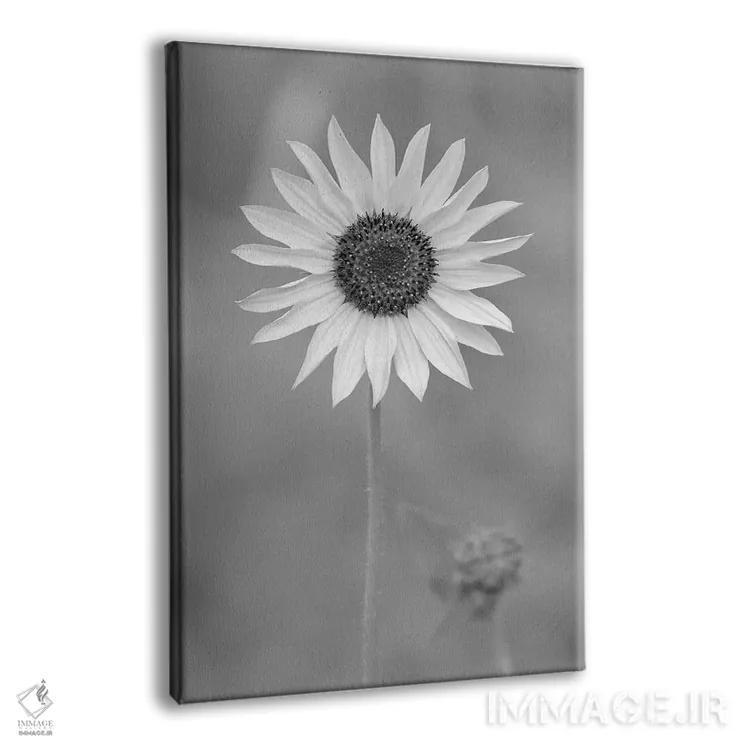 تابلو دکوراتیو مروارید پویا اثر لوئیس راث - نمای پرسپکتیو محصول