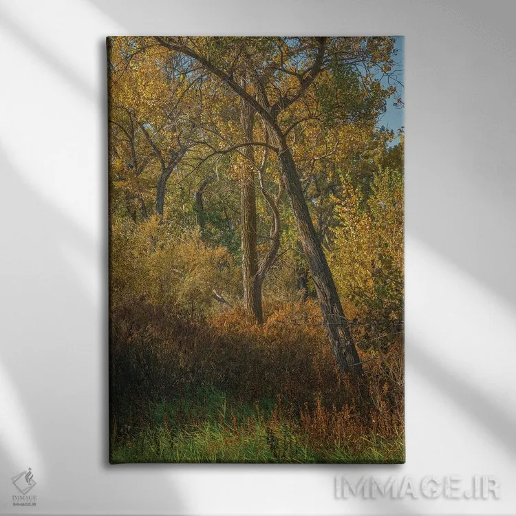 تابلو دکوراتیو حس رنگ های پاییز اثر لوئیس راث - نمای روبهرو روی دیوار