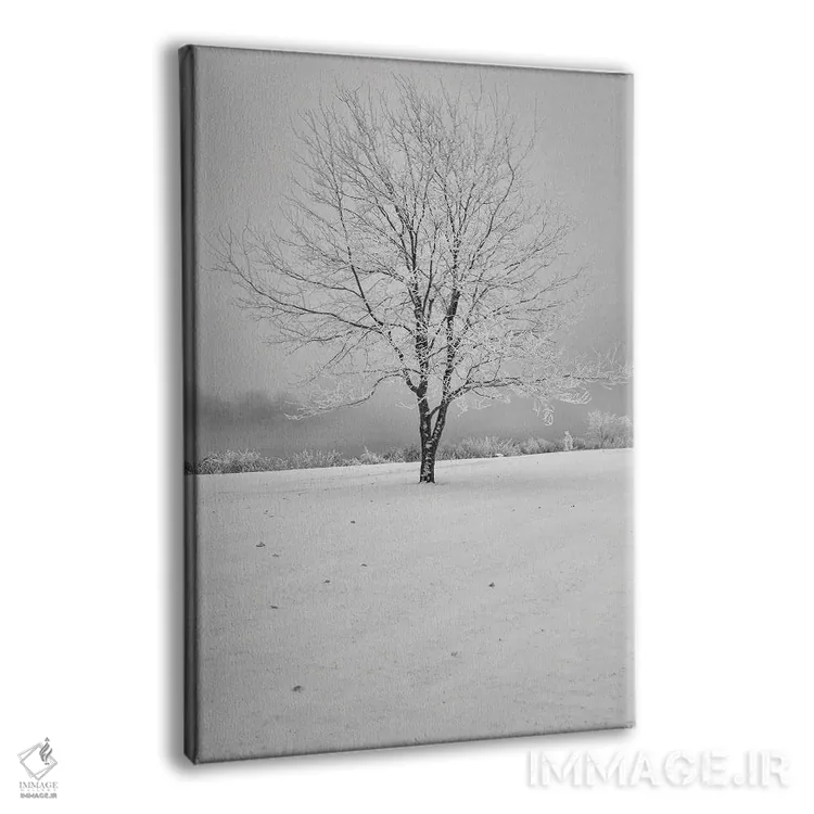 تابلو دکوراتیو درخت زمستانی با پویایی بالا اثر لوئیس راث - نمای پرسپکتیو محصول