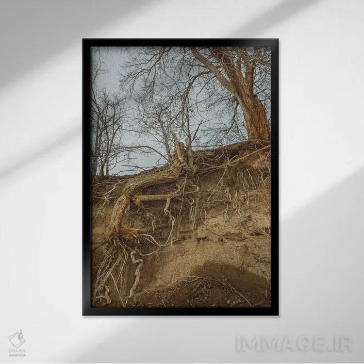 تابلو دکوراتیو ریشه دار اثر لوئیس راث - نمای قابدار مشکی