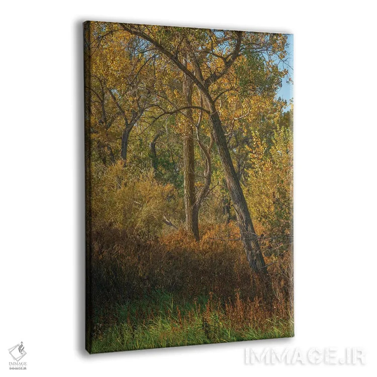 تابلو دکوراتیو حس رنگ های پاییز اثر لوئیس راث - نمای پرسپکتیو محصول