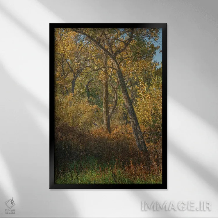 تابلو دکوراتیو حس رنگ های پاییز اثر لوئیس راث - نمای قابدار مشکی