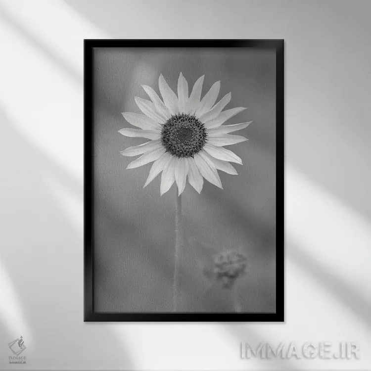 تابلو دکوراتیو مروارید پویا اثر لوئیس راث - نمای قابدار مشکی