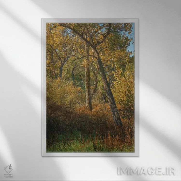 تابلو دکوراتیو حس رنگ های پاییز اثر لوئیس راث - نمای قابدار سفید