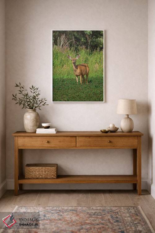 تابلو دکوراتیو آهوی ماده در حال چرا اثر لوئیس راث - D1W