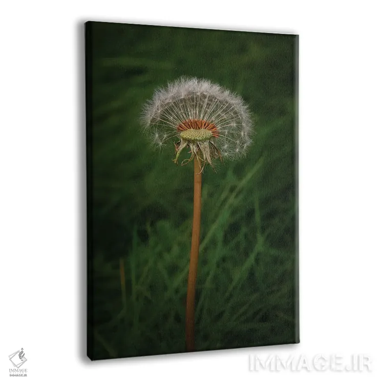 تابلو دکوراتیو قطعا یک قاصدک است اثر لوئیس راث - نمای پرسپکتیو محصول