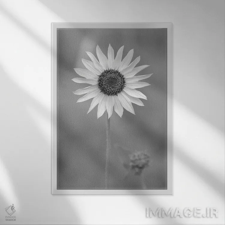 تابلو دکوراتیو مروارید پویا اثر لوئیس راث - نمای قابدار سفید