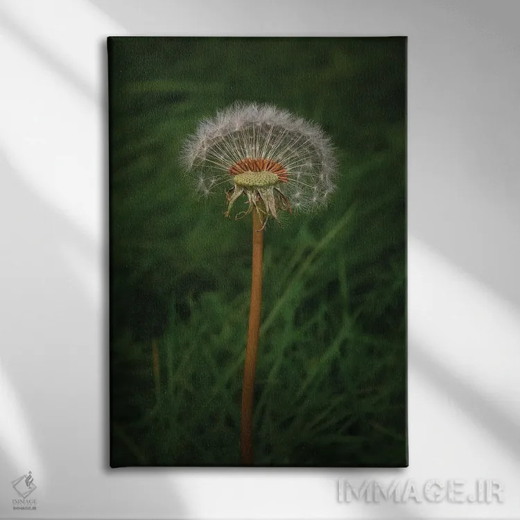 تابلو دکوراتیو قطعا یک قاصدک است اثر لوئیس راث - نمای روبهرو روی دیوار