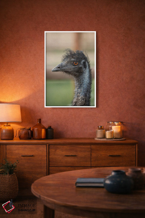 تابلو دکوراتیو خیره شدن ایمو اثر لوئیس راث - D3W