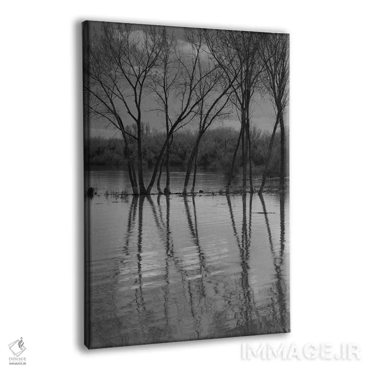 تابلو دکوراتیو انعکاس های درهم تنیده اثر لوئیس راث - نمای پرسپکتیو محصول