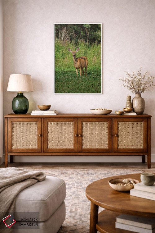 تابلو دکوراتیو آهوی ماده در حال چرا اثر لوئیس راث - D4W