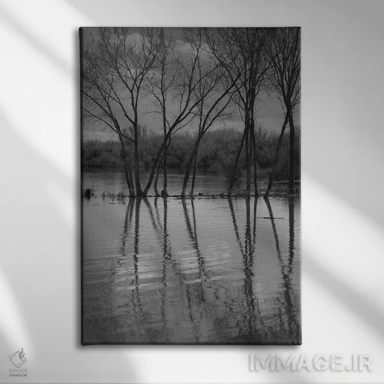 تابلو دکوراتیو انعکاس های درهم تنیده اثر لوئیس راث - نمای روبهرو روی دیوار