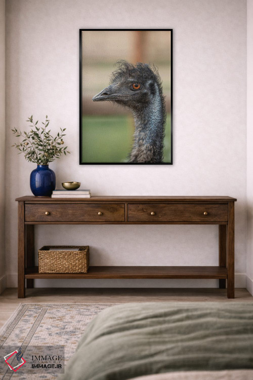 تابلو دکوراتیو خیره شدن ایمو اثر لوئیس راث - D5B