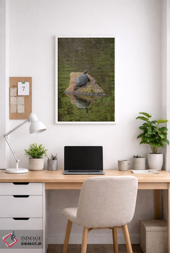 تابلو دکوراتیو لاک پشت روی صخره اثر لوئیس راث - D4W