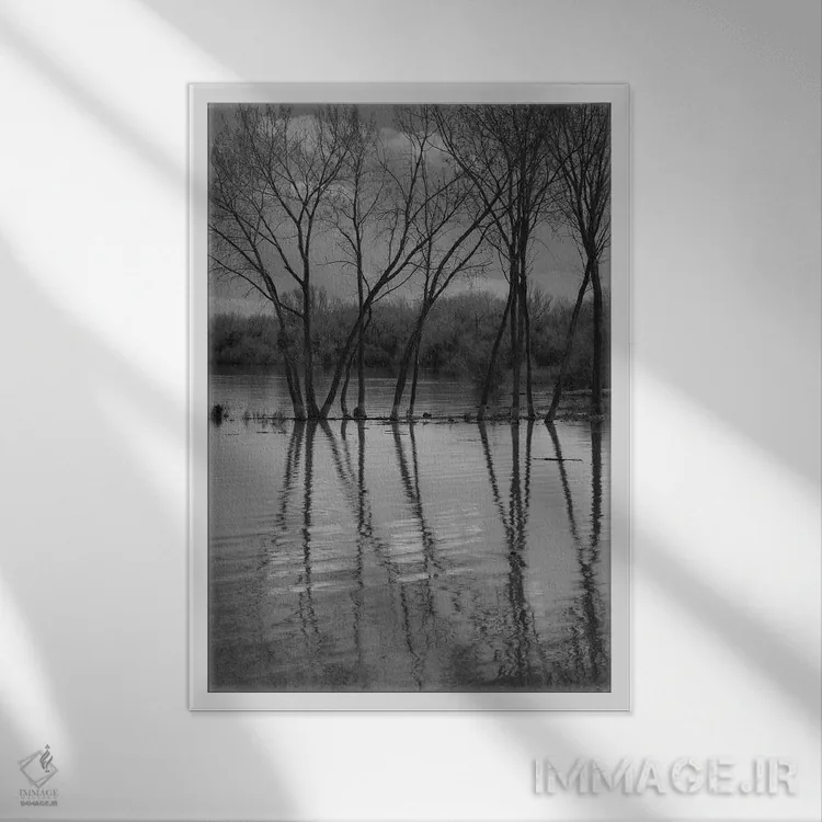 تابلو دکوراتیو انعکاس های درهم تنیده اثر لوئیس راث - نمای قابدار سفید