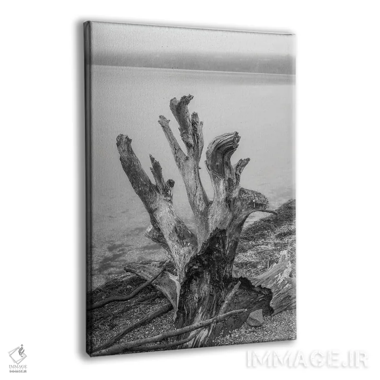 تابلو دکوراتیو کنده درخت پیچ خورده اثر لوئیس راث - نمای پرسپکتیو محصول