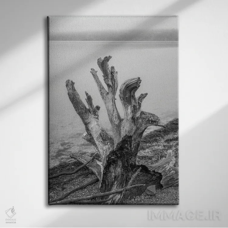 تابلو دکوراتیو کنده درخت پیچ خورده اثر لوئیس راث - نمای روبهرو روی دیوار