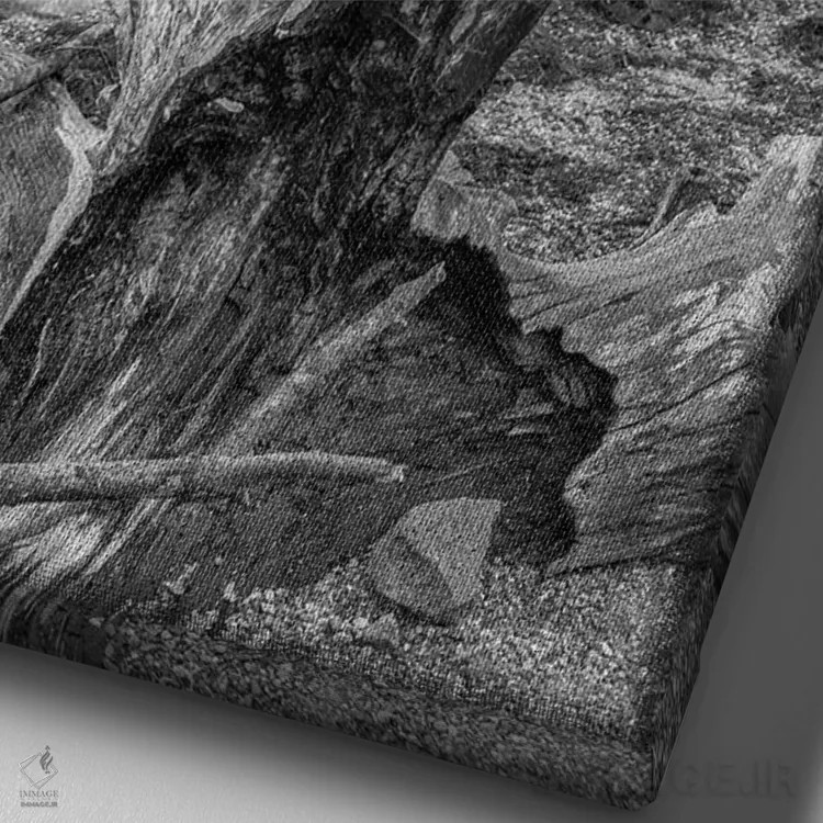 تابلو دکوراتیو کنده درخت پیچ خورده اثر لوئیس راث - نمای نزدیک بافت بوم