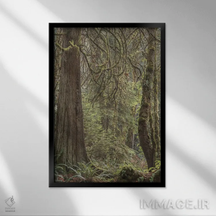 تابلو دکوراتیو نور درخت ۲۰۲۰ اثر لوئیس راث - نمای قابدار مشکی