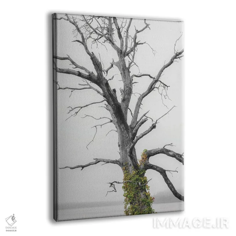 تابلو دکوراتیو پاشش رنگ روی پیچک اثر لوئیس راث - نمای پرسپکتیو محصول