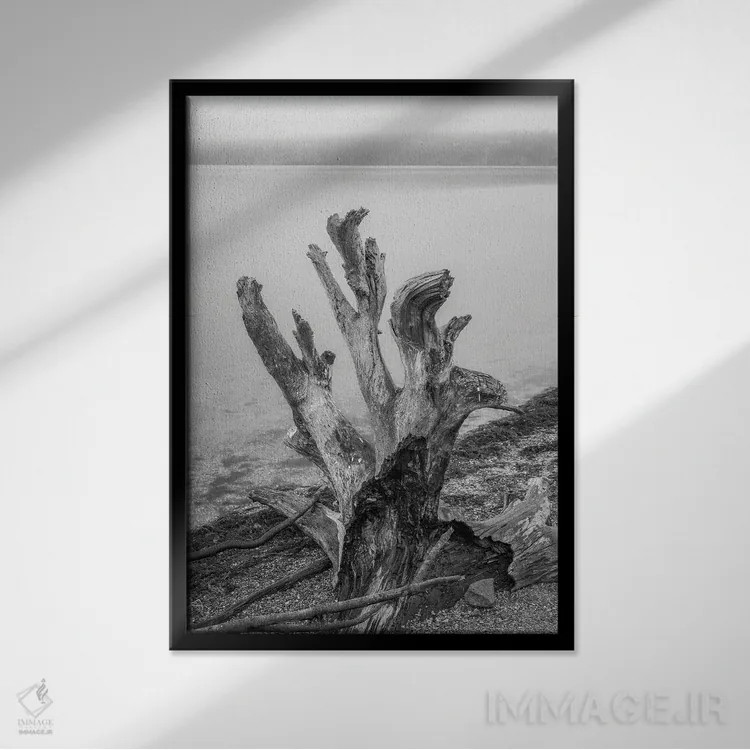 تابلو دکوراتیو کنده درخت پیچ خورده اثر لوئیس راث - نمای قابدار مشکی