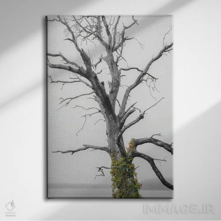 تابلو دکوراتیو پاشش رنگ روی پیچک اثر لوئیس راث - نمای روبهرو روی دیوار