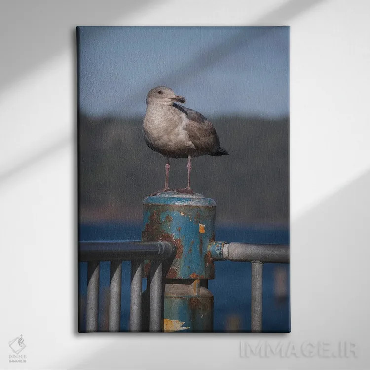 تابلو دکوراتیو پرتره مرغ دریایی اثر لوئیس راث - نمای روبهرو روی دیوار