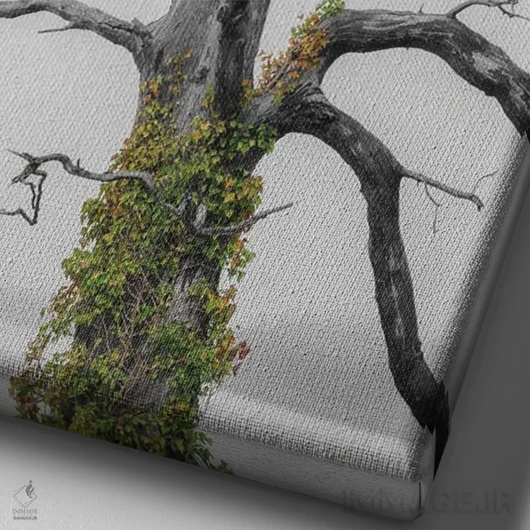 تابلو دکوراتیو پاشش رنگ روی پیچک اثر لوئیس راث - نمای نزدیک بافت بوم