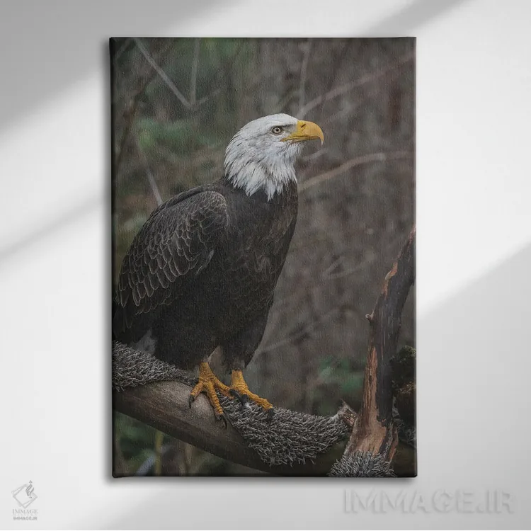تابلو دکوراتیو عقاب تک بال اثر لوئیس راث - نمای روبهرو روی دیوار