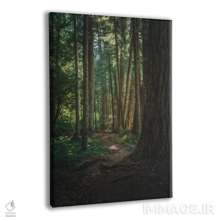 تابلو دکوراتیو قدم زنی در جنگل فدراسیون اثر لوئیس راث - نمای پرسپکتیو محصول