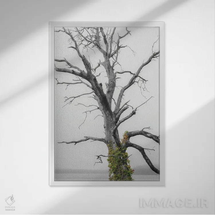 تابلو دکوراتیو پاشش رنگ روی پیچک اثر لوئیس راث - نمای قابدار سفید