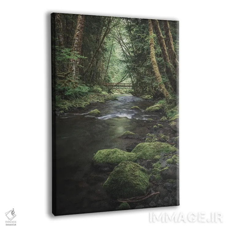 تابلو دکوراتیو جنگل های افسونگر المپیک نسخه دوم اثر لوئیس راث - نمای پرسپکتیو محصول