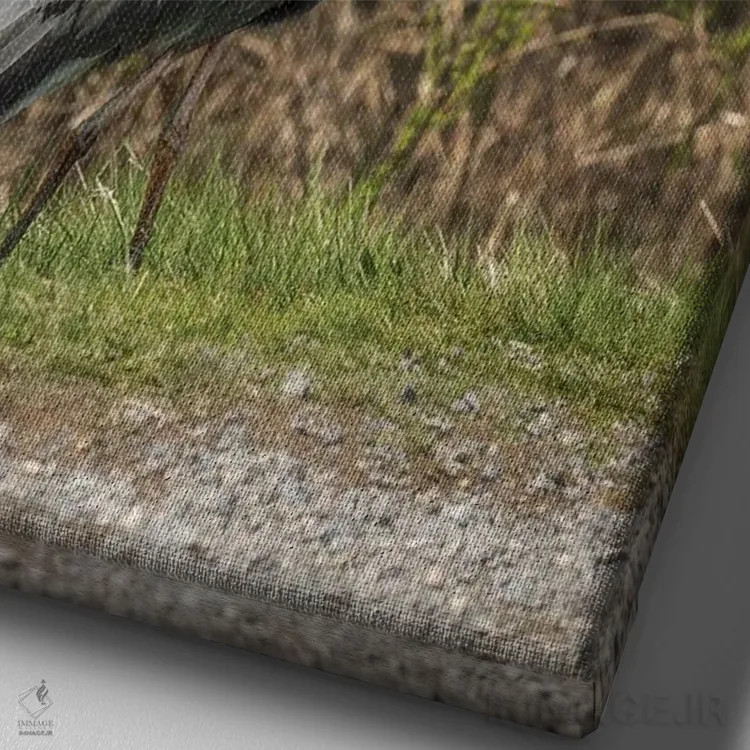 تابلو دکوراتیو ژست حواصیل آبی بزرگ اثر لوئیس راث - نمای نزدیک بافت بوم