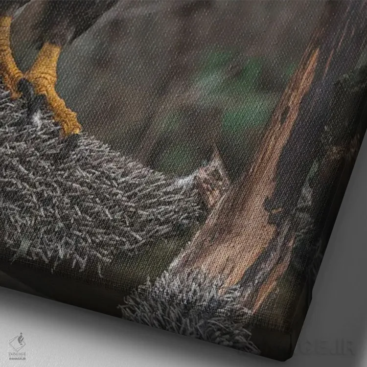 تابلو دکوراتیو عقاب تک بال اثر لوئیس راث - نمای نزدیک بافت بوم