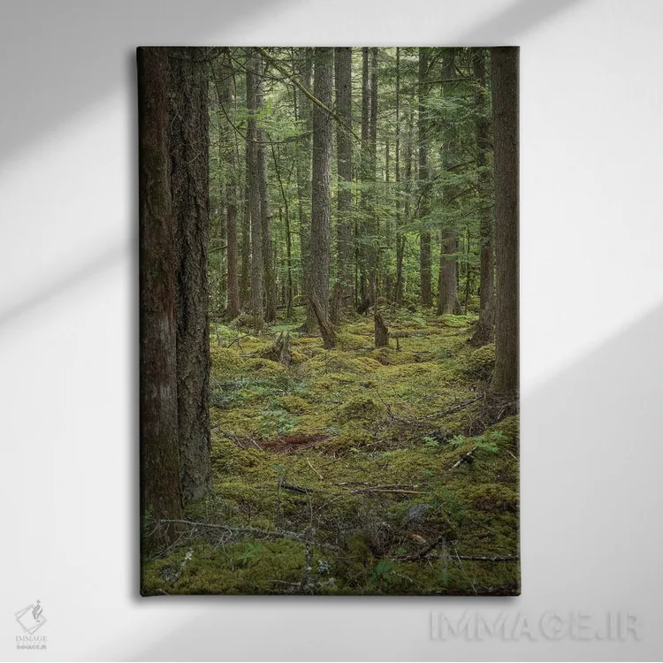 تابلو دکوراتیو خزه و سرخس کوهی اثر لوئیس راث - نمای روبهرو روی دیوار