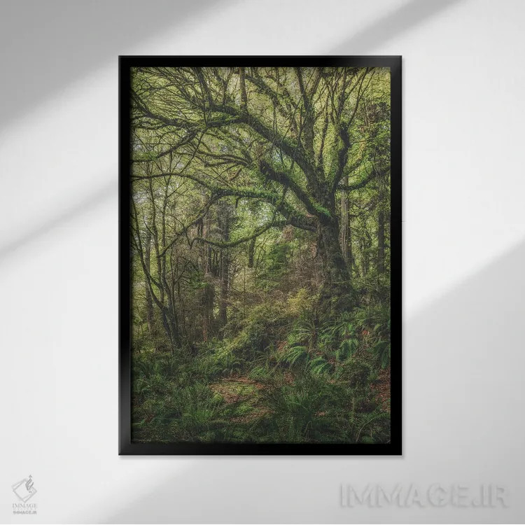 تابلو دکوراتیو روشنایی ها از بالا اثر لوئیس راث - نمای قابدار مشکی