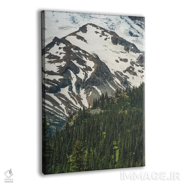 تابلو دکوراتیو منظره پارک ملی اثر لوئیس راث - نمای پرسپکتیو محصول