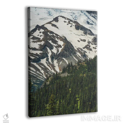 تابلو دکوراتیو منظره پارک ملی اثر لوئیس راث - نمای پرسپکتیو محصول