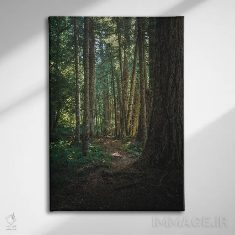 تابلو دکوراتیو قدم زنی در جنگل فدراسیون اثر لوئیس راث - نمای روبهرو روی دیوار