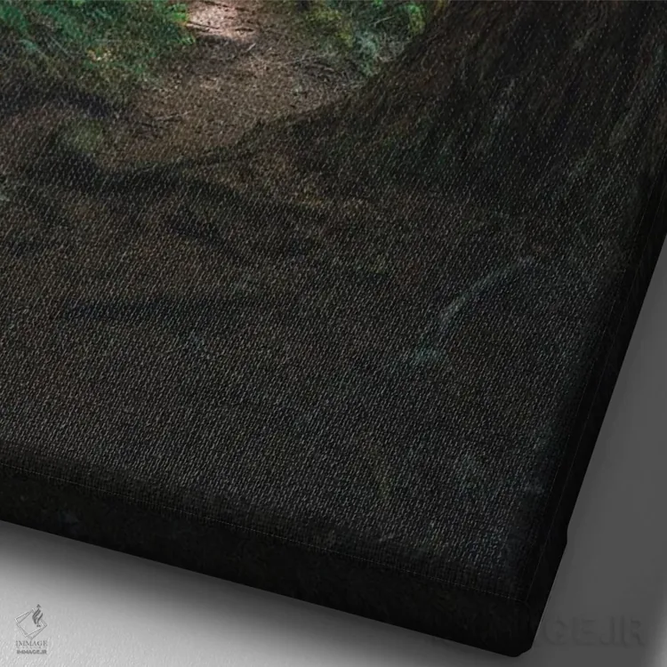 تابلو دکوراتیو قدم زنی در جنگل فدراسیون اثر لوئیس راث - نمای نزدیک بافت بوم