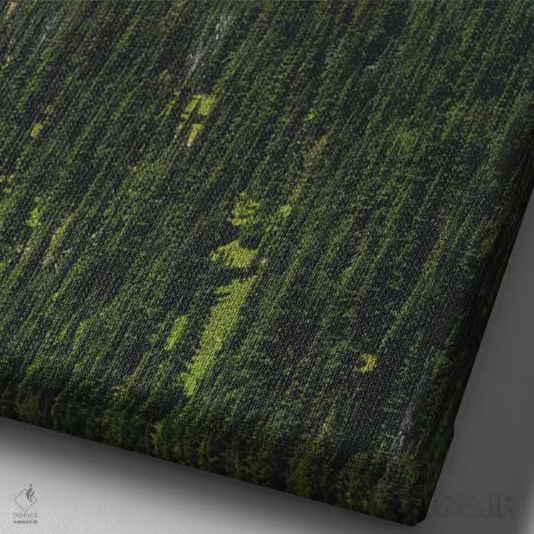 تابلو دکوراتیو منظره پارک ملی اثر لوئیس راث - نمای نزدیک بافت بوم