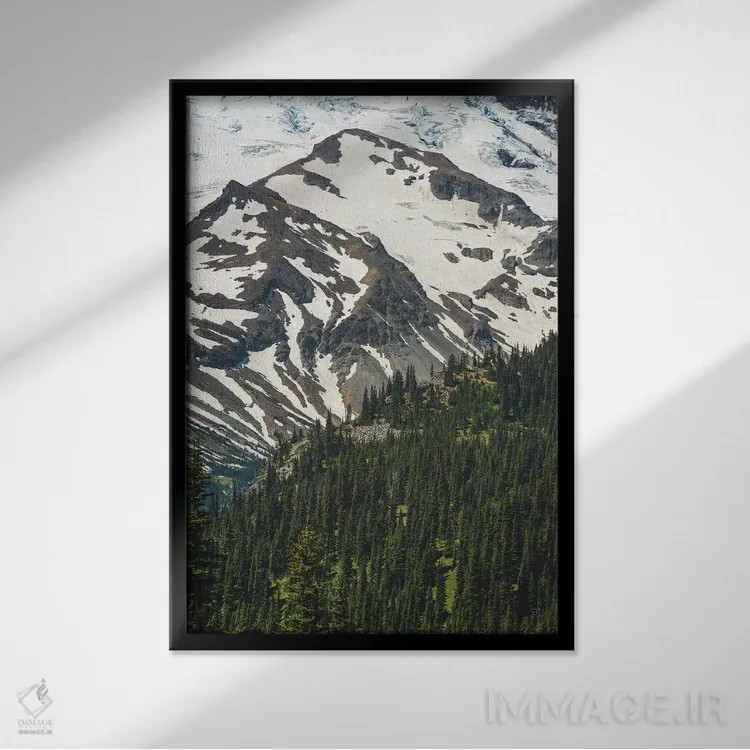 تابلو دکوراتیو منظره پارک ملی اثر لوئیس راث - نمای قابدار مشکی