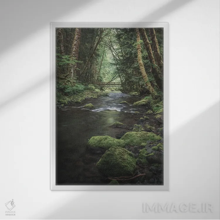 تابلو دکوراتیو جنگل های افسونگر المپیک نسخه دوم اثر لوئیس راث - نمای قابدار سفید