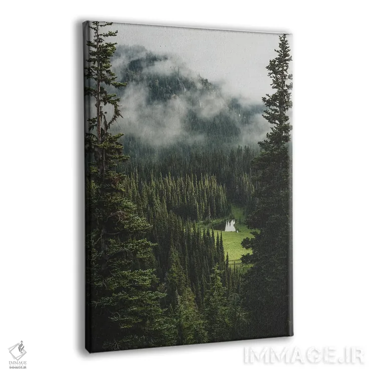 تابلو دکوراتیو تنها یک نگاه کوتاه اثر لوئیس راث - نمای پرسپکتیو محصول